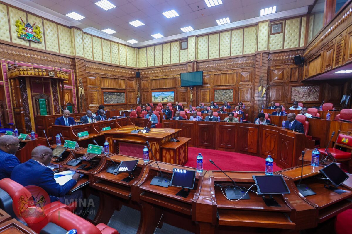 Presenting the 2024 Budget Policy Statement to the Parliamentary Departmental Committee on Administration and Internal Security - Dr. Raymond Omollo