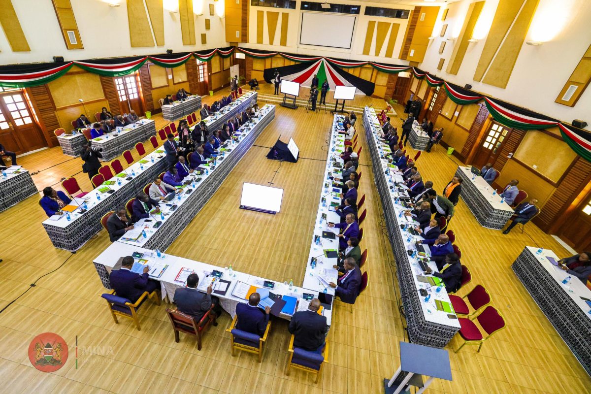 Insights from the 2nd NDCI Meeting at KSG Lower Kabete - Dr. Raymond Omollo