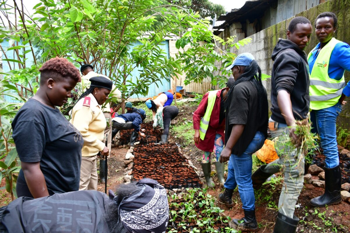 Viwandani's Tree Nurseries and Ngong River Restoration under the Climate WorX Initiative - Dr. Raymond Omollo